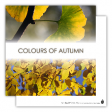 Postcard | Colours of Autumn